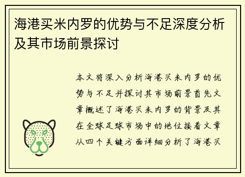 海港买米内罗的优势与不足深度分析及其市场前景探讨